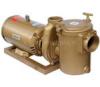 循环水泵 铜泵