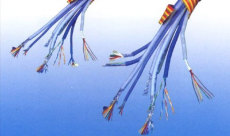 电力电缆 控制电缆 电线电缆厂家