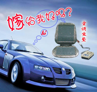 辦公用理療坐墊