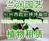 QQ园艺花卉租赁公司-花卉租摆公司 滨江花卉租赁