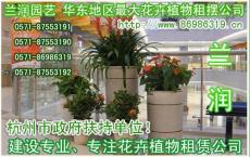 兰润花圃 花卉租赁 杭州植物租赁