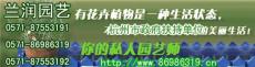 21杭州花草盆景公司 杭州绿植租赁 杭州