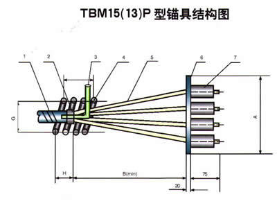 挤压P型锚具