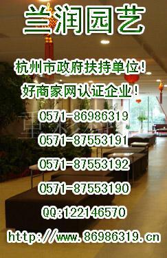 杭州植物租赁公司