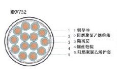 MVV22煤礦用聚氯乙烯絕緣鋼帶鎧裝聚氯乙烯護套電力電纜