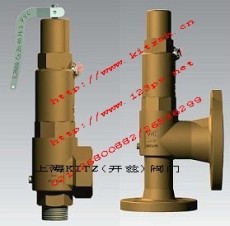 西班牙VYC彈簧作用的標準安全閥 上海開茲閥門