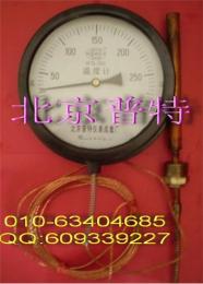 北京生产WTZ-280压力式温度计 288压力式电接点温度计