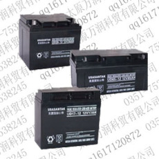 山特铅酸蓄电池 UPS电源蓄电池 山西UPS电池UD24-12