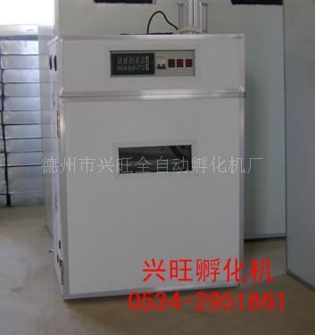 雞蛋孵化機/雞蛋復合型/全自動小雞孵化機
