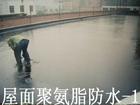 深圳防水补漏公司