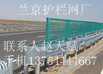 供应高速公路护栏网 公路护栏网 专业生产公路护栏网