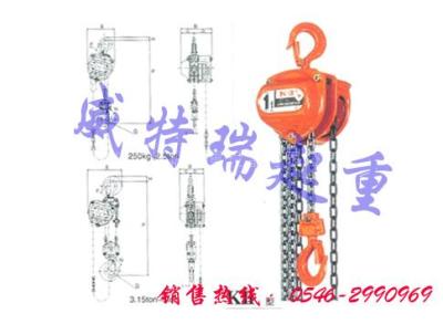 进口手拉葫芦 日本手拉葫芦 威特瑞销往十堰 长沙