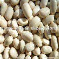 供应日本白芸豆 大连芸豆豆供应商价格公道量大优惠