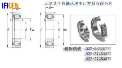 NTN进口轴承经销商供应进口振动筛专用轴承