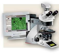 供应LEICA 高清晰度智能化显微镜DM4000M