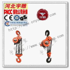 群吊电动葫芦 链电动葫芦-专家制造群吊电动葫芦