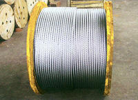 信誉厂家 SUS316包塑不锈钢丝绳 304涂塑钢丝绳