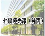 外墙哑光漆 外墙有光漆 外墙弹性漆 内外墙腻子粉 通