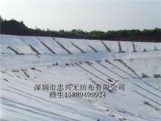 工程土工布 广东土工布 水泥保湿 护坡土工布厂家直销