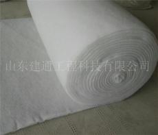 国内生产长丝土工布最大厂家 建通长丝土工布型号齐全