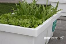 绿家绿自动调湿节能种植箱 阳台种菜 屋顶种菜 花园种