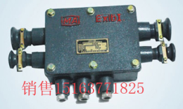 JHH系列防爆通讯电缆接线盒 BHD2防爆低压电缆接线盒