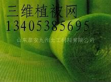 上海三维植草网垫 三维植草网垫价格低