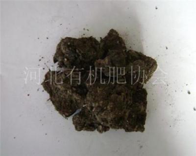 奋豆厂供应干鸡粪 干鸡粪质量 干鸡粪奋豆肥业