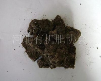 供应奋豆厂干鸡粪 干鸡粪质量就到奋豆肥业值得信赖