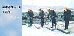 天津防水 天津防腐 天津堵漏 補(bǔ)漏維修