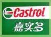 Castrol OPTIMOL COPO 100压缩