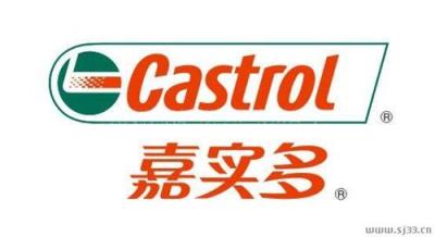 Castrol Tribol 1090 Wire R