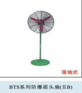 BTS系列防爆摇头风扇 B