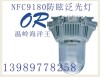 海洋王 NFC9180 NFE9180防眩泛光灯