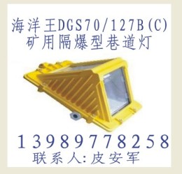 DGS70/127B C 海洋王 矿用隔爆型巷道灯