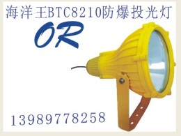 海洋王BTC8210 防爆投光灯
