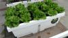 绿家绿自动调湿节能种植箱 系统