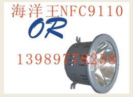 温岭海洋王OR-NFC9110防眩泛光灯