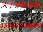 北京肉驴养殖业供应驴信息 德州黑驴 德州养驴 德州肉