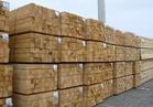 山东日照木材加工厂 闽通木材加工厂加工各种优质板材方