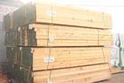 供应铁杉方木 优质铁杉板材 铁杉方木批发
