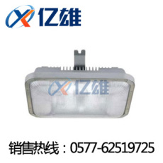 NFC9175 長(zhǎng)壽頂燈 NFC9175長(zhǎng)壽頂燈報(bào)價(jià)