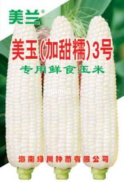 美玉 加甜糯 3號