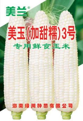 美玉 加甜糯 3號