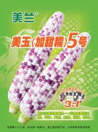 美玉 加甜糯 5號