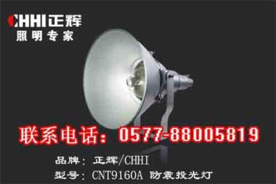 防震投光灯CNT9160A