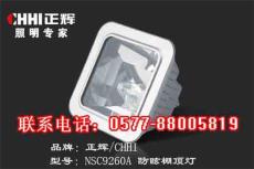 防眩應急棚頂燈NEC9261