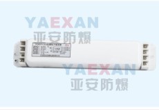 樂(lè)清亞安防爆YK36DF 2CS防爆電子鎮(zhèn)流器