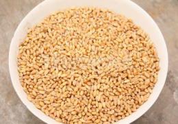 供应优质小麦每吨1500元