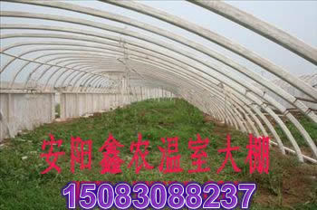 蔬菜大棚建设 蔬菜大棚建造 新型蔬菜大棚骨架-安阳鑫农